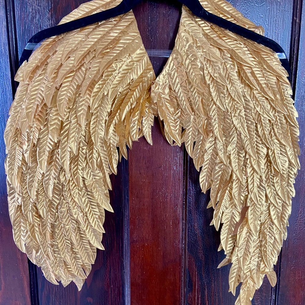 Gold Feathered Costume Wings